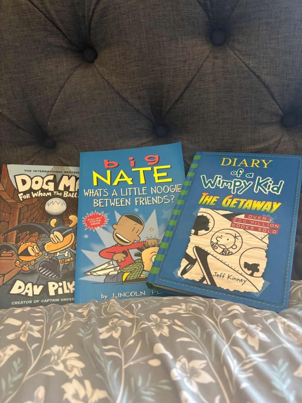 Big Nate, Diary of a Wimpy Kid & Dog Man Book Bundle.